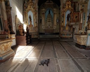 Interior de la Iglesia de Santa María dos Anjos, donde sorprendimos dentro a un precioso gato negro (O gato preto :D).