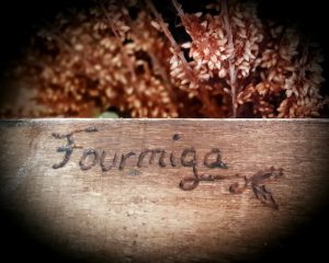 Fourmiga
